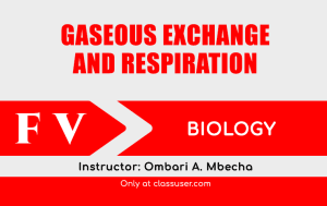 Geseos exchange and respiration